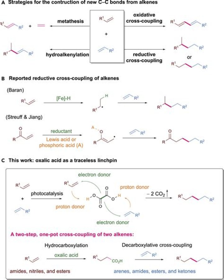 Are alkenes electron deficient?
