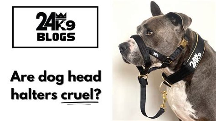 Are dog head halters cruel?