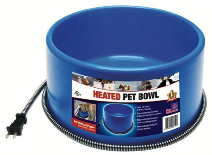 Are heated dog bowls safe?