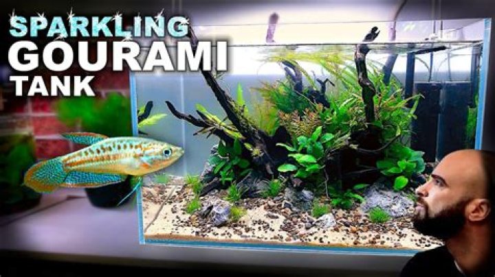 Are Koller aquariums good?