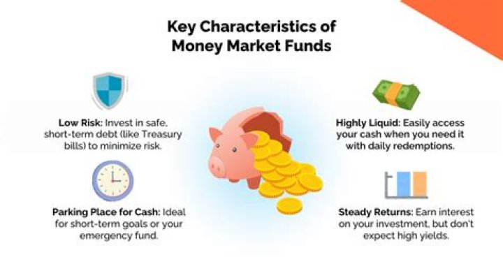 Are money market funds cash equivalents?