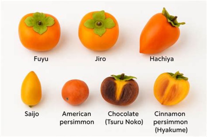 Are persimmon and Sharon fruit the same?