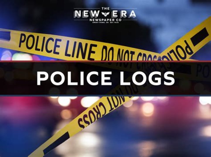 Are police logs public?