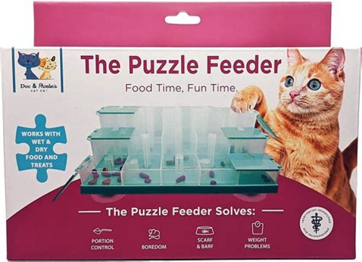 Are puzzle feeders good for cats