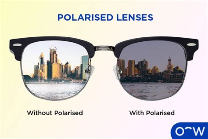 Are Revo lenses polarized?