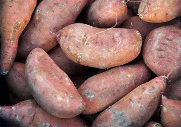Are sweet potatoes root vegetables