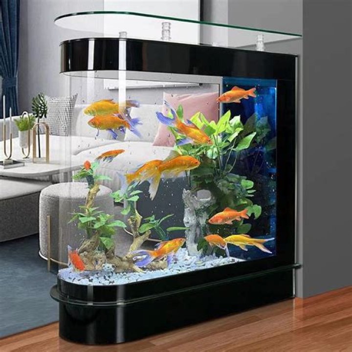 Are tall aquariums bad for fish?