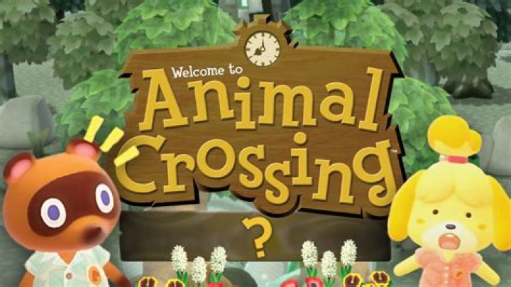 Are there cheat codes for Animal Crossing: New Leaf?