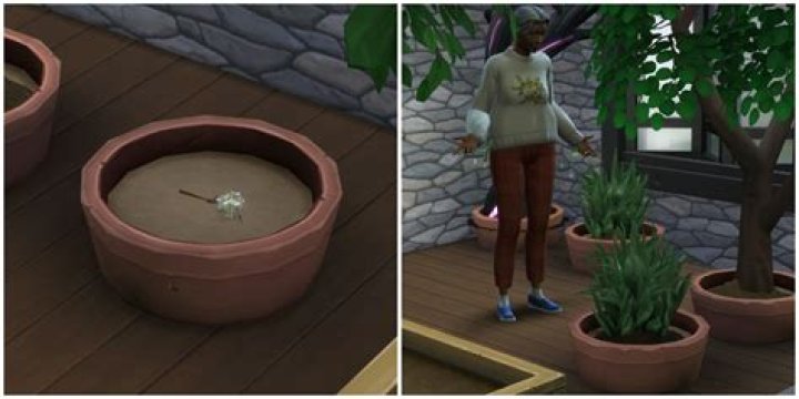 Are there plant Sims in Sims 4