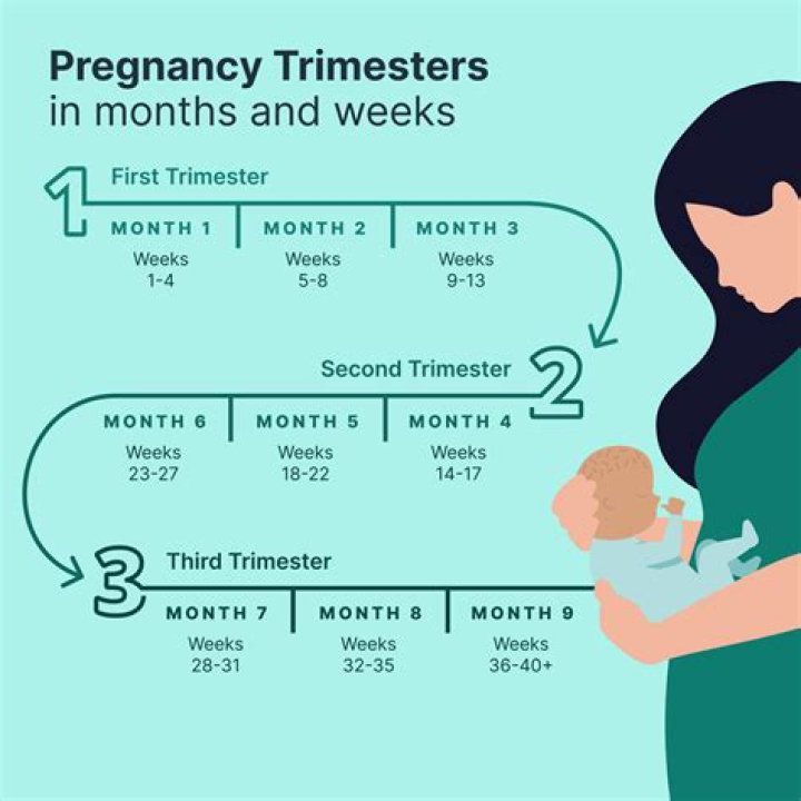 Are trimesters better than semesters?
