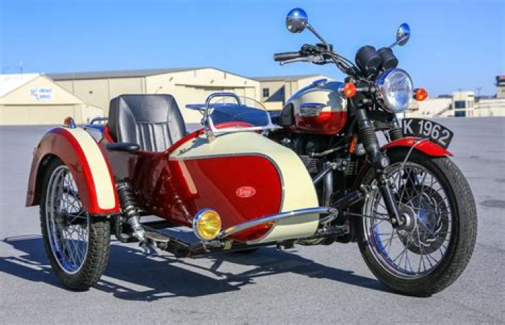 Can a dog ride in a motorcycle sidecar?