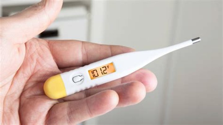 Can a meat thermometer be used to check your temperature?