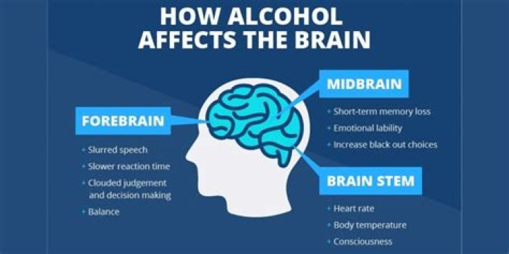Can alcohol permanently damage your brain?