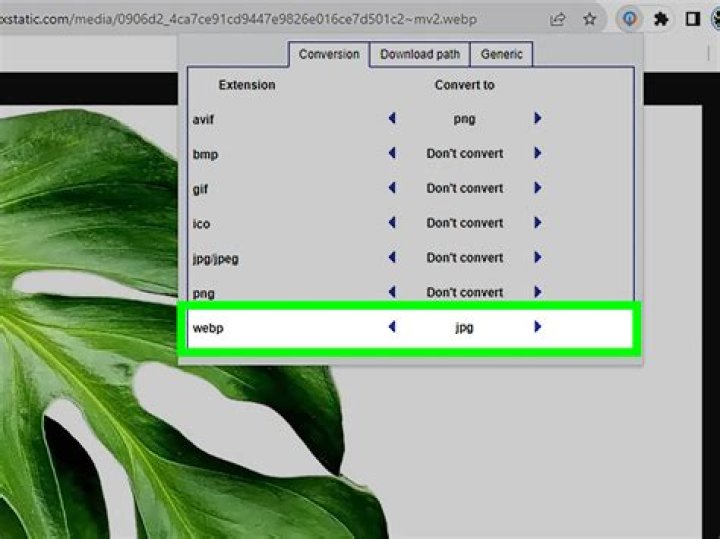 Can GIMP save as WebP?