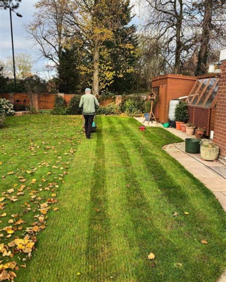 Can I top dress my lawn in autumn