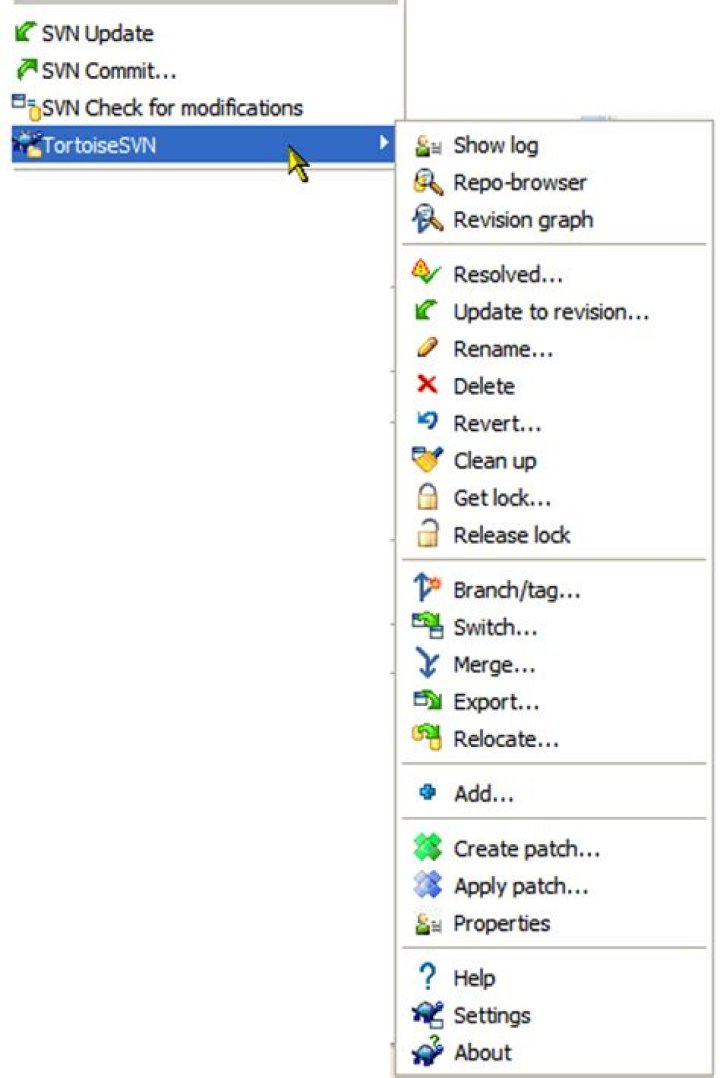 Can I use TortoiseSVN with git?