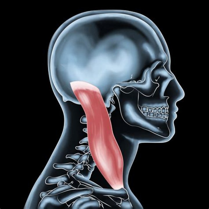 Can plug ins make you sick