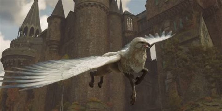 Can the white devil Mount fly?