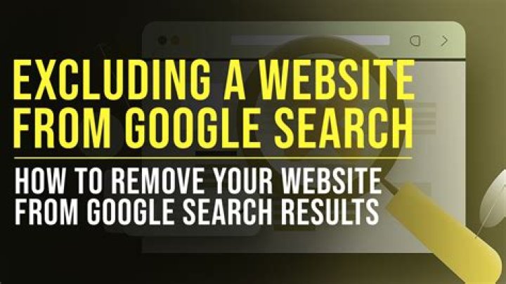 Can you exclude a website from Google search?