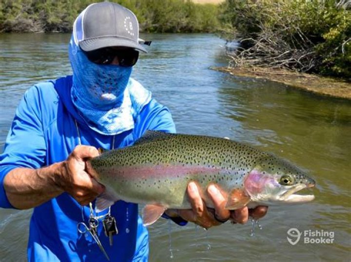 Can you fish in Twain Harte Lake?