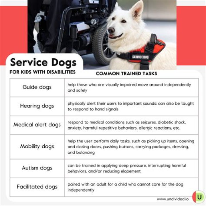 Can you get a service dog for breast cancer?