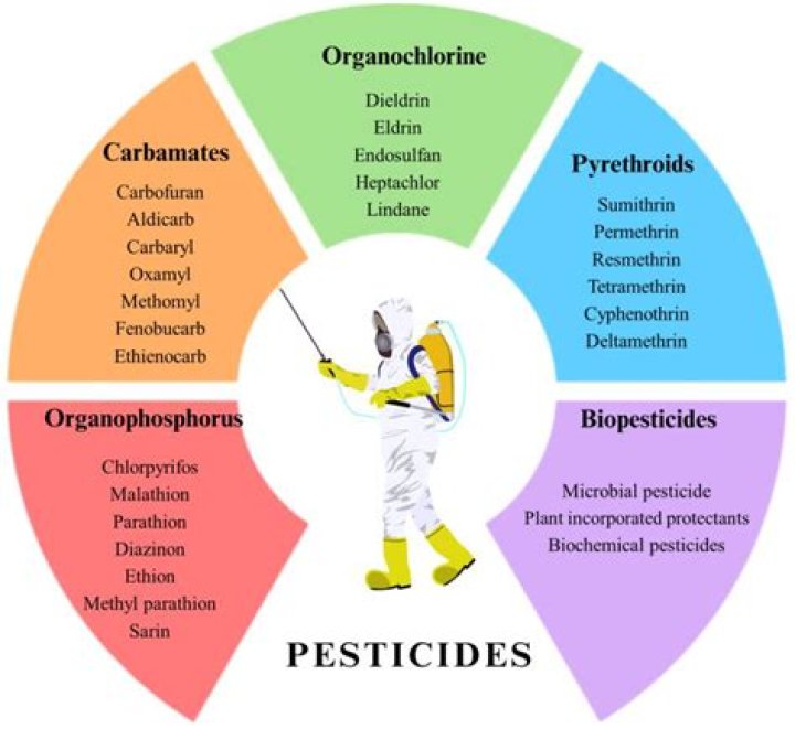 Can you get cancer from pesticides?