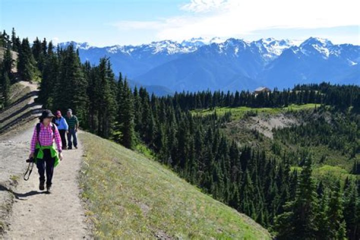 Can you hike Hurricane Ridge?