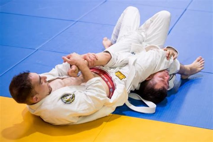 Can you learn Jiu-Jitsu at home with a partner?