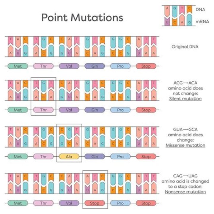 Can you manipulate DNA test?