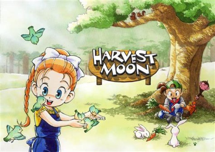Can you marry the Witch Princess in Harvest Moon DS Cute?