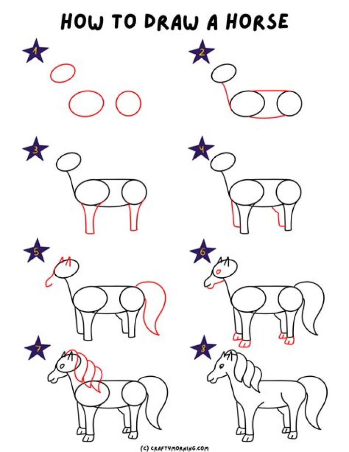 Can you overdose a horse on MSM?