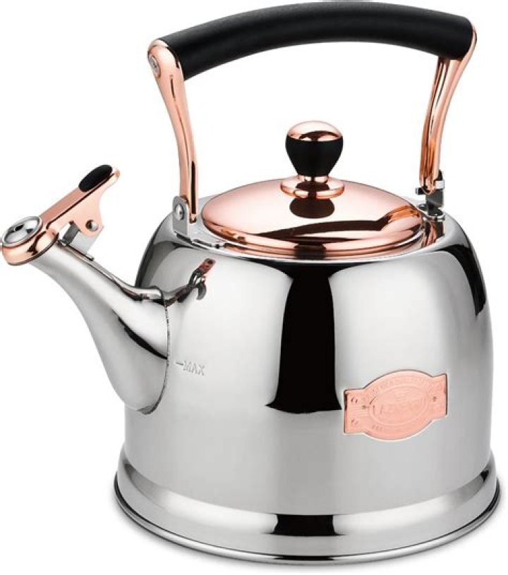 Can you put a tea kettle over a fire?
