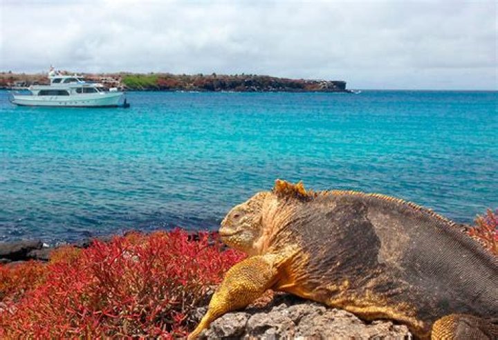 Can you stay on Santa Cruz Island?