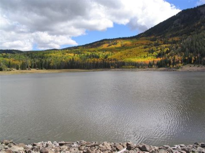 Can you swim in White Lake NY?