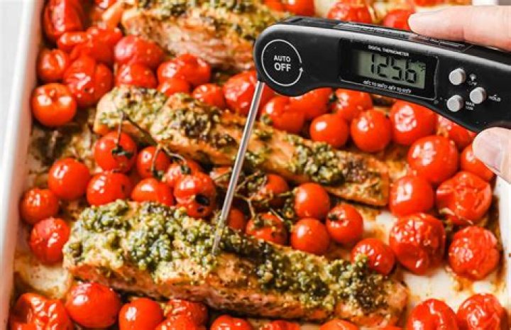 Can you use a meat thermometer for fish?