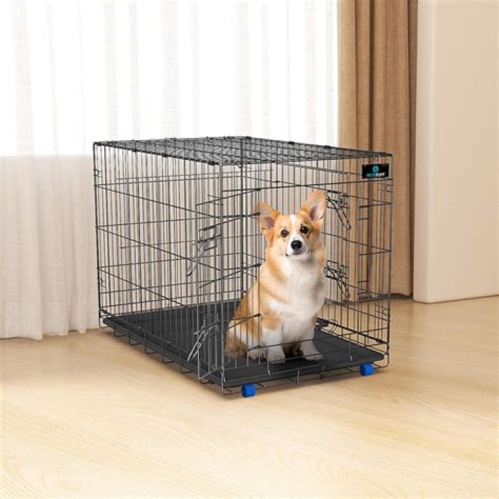 Can you use a soft crate for a dog?