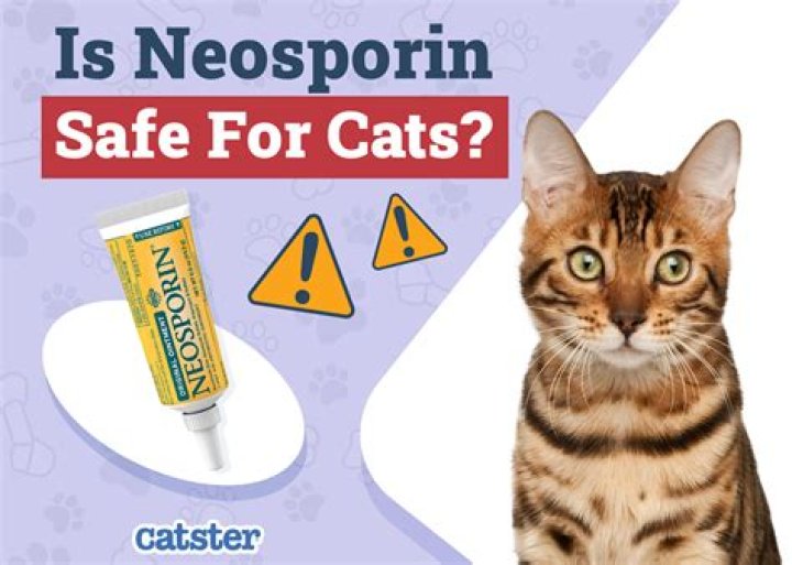 Can you use Neosporin in cats eyes?