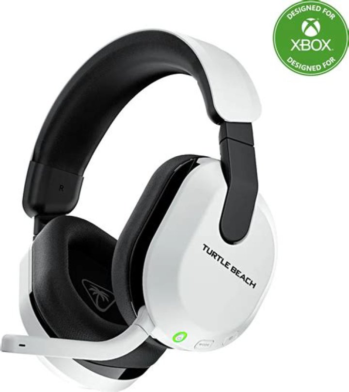 Can you use Turtle Beach PX21 on Xbox one?