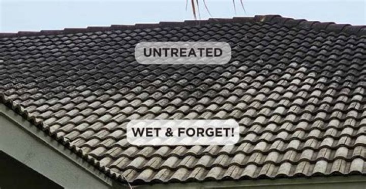 Can you use wet and forget in the rain