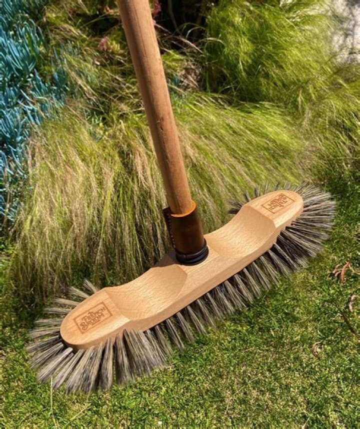 Do goats eat French broom