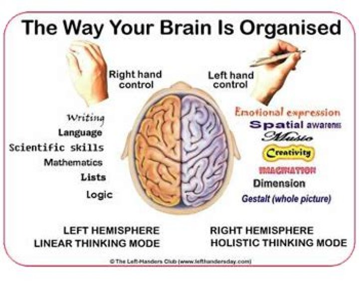Do left-handers think differently?