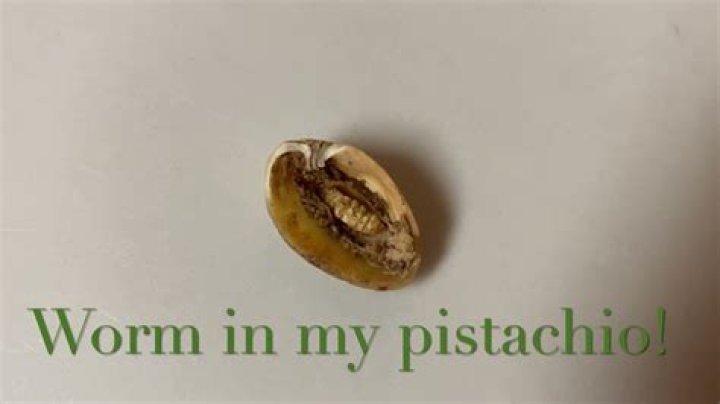 Do pistachio nuts have worms in them?
