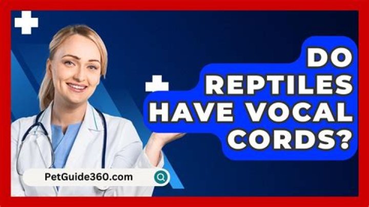 Do reptiles have vocal cords?