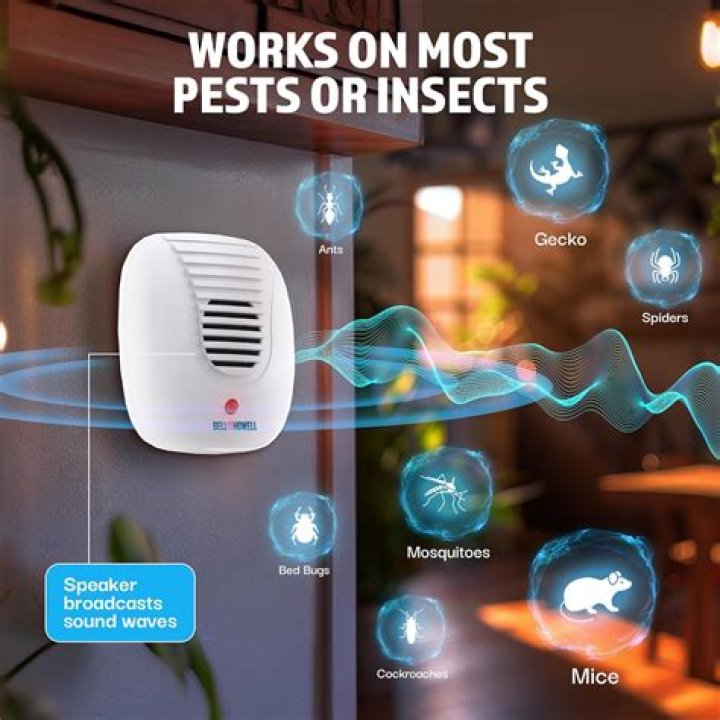 Do ultrasonic pest repellers go through walls