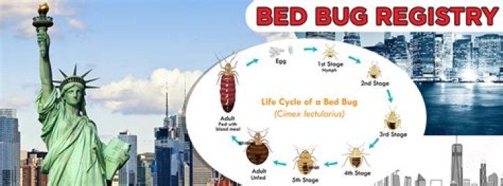 Does bed bug registry still work