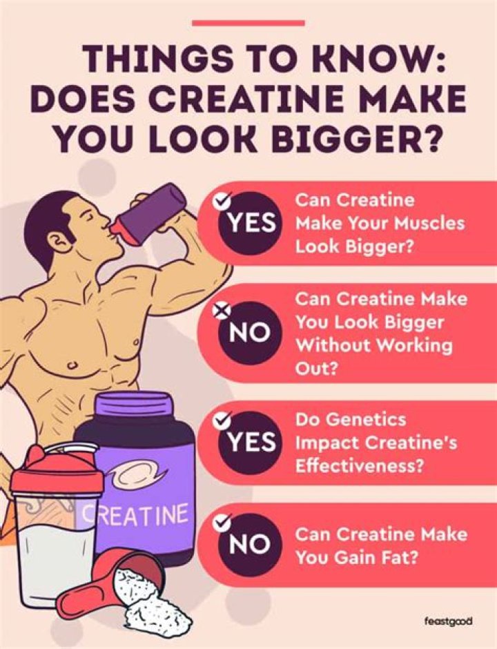 Does creatine actually make you bigger?