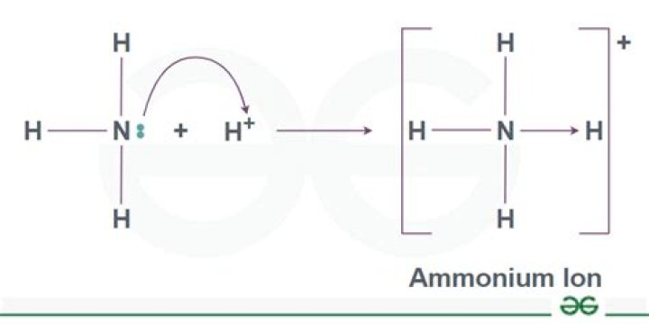 Does Glass Plus have ammonia