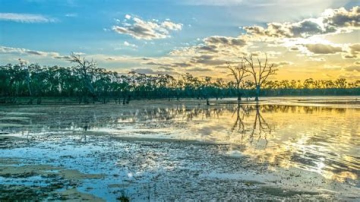 Does Lake Murray have a marina?