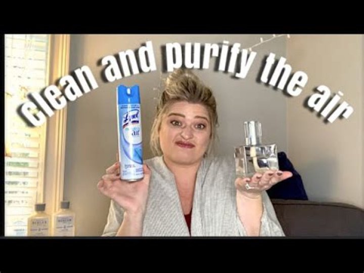 Does Lampe Berger really clean the air?