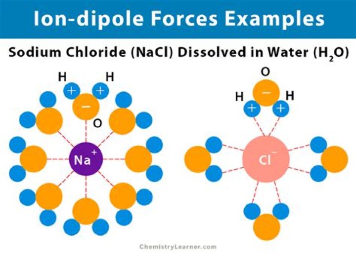 Does NaCl have ion-dipole forces?